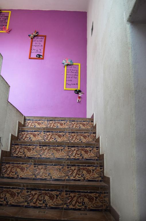 Hikuri Hostel San Luis Potosí Zewnętrze zdjęcie