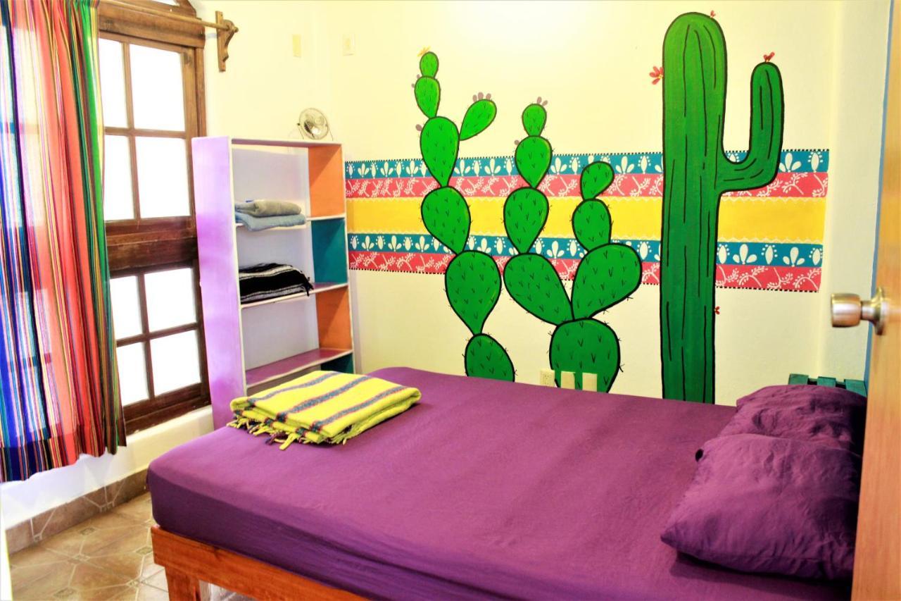 Hikuri Hostel San Luis Potosí Zewnętrze zdjęcie